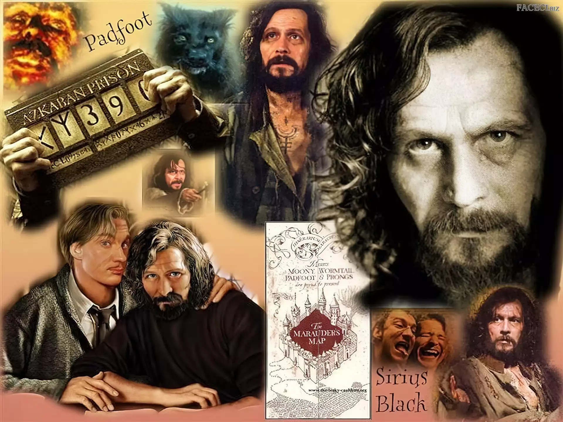 broda, Gary Oldman, długie włosy